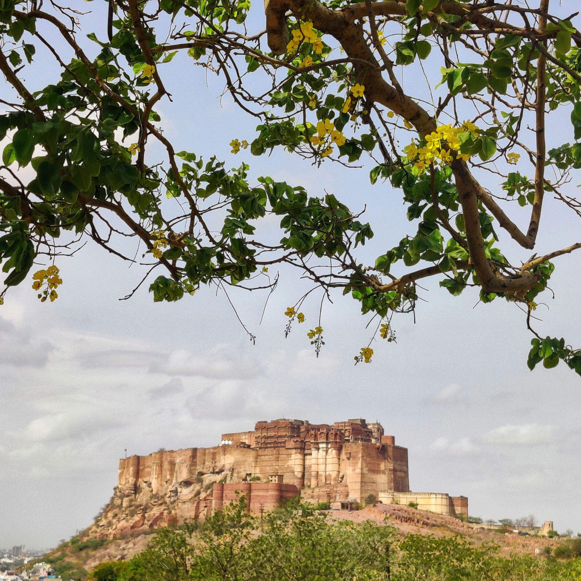 Mehrangarh Fort Jodhpur